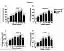 Fig. 05 - Methods for preventing and/or treating degenerative disorders of the central nervous system
