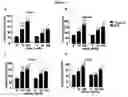 Fig. 06 - Methods for preventing and/or treating degenerative disorders of the central nervous system