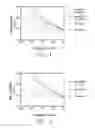 Fig. 02 - Polymer composition with uniformly distributed nano-sized inorganic particles