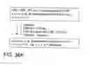 Fig. 131 - Factor VIII: remodeling and glycoconjugation of factor VIII