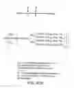 Fig. 136 - Factor VIII: remodeling and glycoconjugation of factor VIII