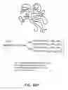 Fig. 167 - Factor VIII: remodeling and glycoconjugation of factor VIII