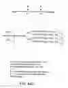Fig. 197 - Factor VIII: remodeling and glycoconjugation of factor VIII