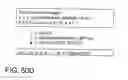 Fig. 232 - Factor VIII: remodeling and glycoconjugation of factor VIII