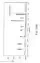 Fig. 367 - Factor VIII: remodeling and glycoconjugation of factor VIII