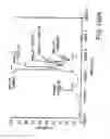 Fig. 484 - Factor VIII: remodeling and glycoconjugation of factor VIII