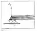 Fig. 05 - METHODS AND DEVICES FOR ENDOSCOPIC IMAGING