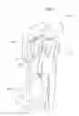 Fig. 03 - Separable Biopsy Device Integrated-Type Ultrasonic Diagnostic Apparatus