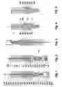 Fig. 02 - Disposable injector with a manually actuated piston and with a twin chamber system