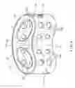 Fig. 08 - Intervertebral spacer