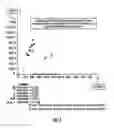 Fig. 02 - Methods of seed breeding using high throughput nondestructive seed sampling