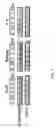 Fig. 02 - TRANSGENIC PLANTS AND MODULATORS FOR IMPROVED STRESS TOLERANCE