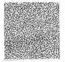 Fig. 01 - Flash-spun sheet material