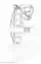 Fig. 01 - ACCESSORY FOR INHIBITING BACK INJURY