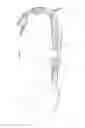 Fig. 04 - ACCESSORY FOR INHIBITING BACK INJURY
