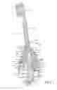 Fig. 03 - Replacement head for electric toothbrush