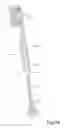 Fig. 04 - Replacement head for electric toothbrush