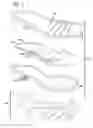 Fig. 02 - Shoe