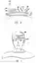 Fig. 04 - Forehead adhesive display