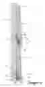 Fig. 09 - Bracket for mounting clapboards or the likes