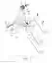 Fig. 02 - Swing Wrench