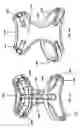 Fig. 12 - Non-choking harness for pet