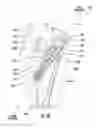 Fig. 08 - Dental syringe