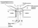Fig. 01 - Enhanced focused ion beam etching of dielectrics and silicon