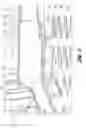 Fig. 04 - Collapsible container