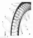 Fig. 09 - Rigid-buckling-resistant-fluted paperboard container with arcuate outer region