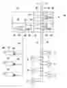 Fig. 01 - Landing gear actuation control system