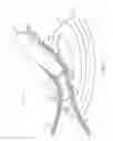 Fig. 02 - SUCTION DEVICE FOR SECURING A TETHER
