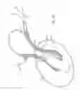 Fig. 08 - SUCTION DEVICE FOR SECURING A TETHER
