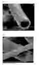 Fig. 03 - INORGANIC FIBRE COMPOSITIONS