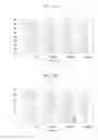 Fig. 16 - Magnetic sheet