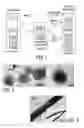 Fig. 02 - Co-assembly method and co-assembled structures made thereby