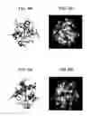 Fig. 04 - Molecular device, imaging device, photosensor, and electronic apparatus