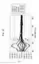 Fig. 28 - Molecular device, imaging device, photosensor, and electronic apparatus
