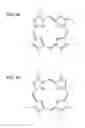 Fig. 41 - Molecular device, imaging device, photosensor, and electronic apparatus