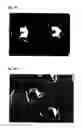 Fig. 05 - Semiconductor light emitting device