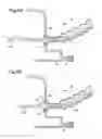 Fig. 06 - Arranging structure of wire harness for door