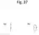 Fig. 49 - Wireless energy transfer converters