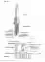 Fig. 02 - Spark plug and process for producing the spark plug