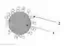 Fig. 01 - Process for the preparation of coated phosphors