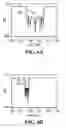 Fig. 09 - Device and method for cascading filters of different materials