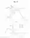 Fig. 16 - PLASMA DISPLAY APPARATUS