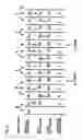 Fig. 06 - FILM MODE DETERMINATION APPARATUS AND DETERMINATION METHOD