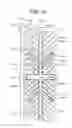 Fig. 21 - Liquid crystal display device