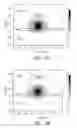 Fig. 12 - ELECTRO-OPTIC MODULATION