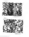 Fig. 02 - Pb-FREE COPPER ALLOY SLIDING MATERIAL